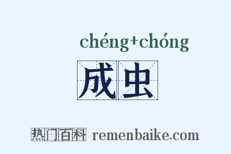 成虫是什么意思的图片